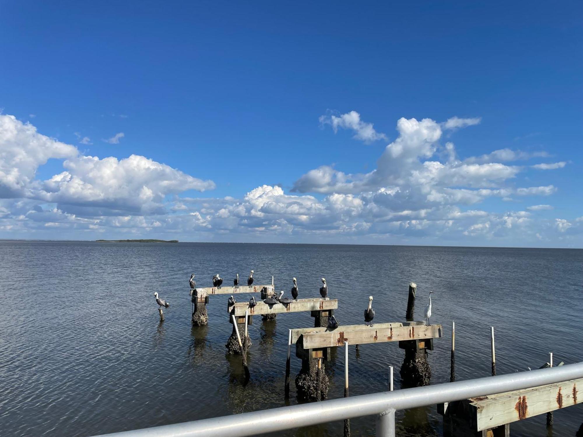 Cedar Key Florida Condo At Park Place Buitenkant foto
