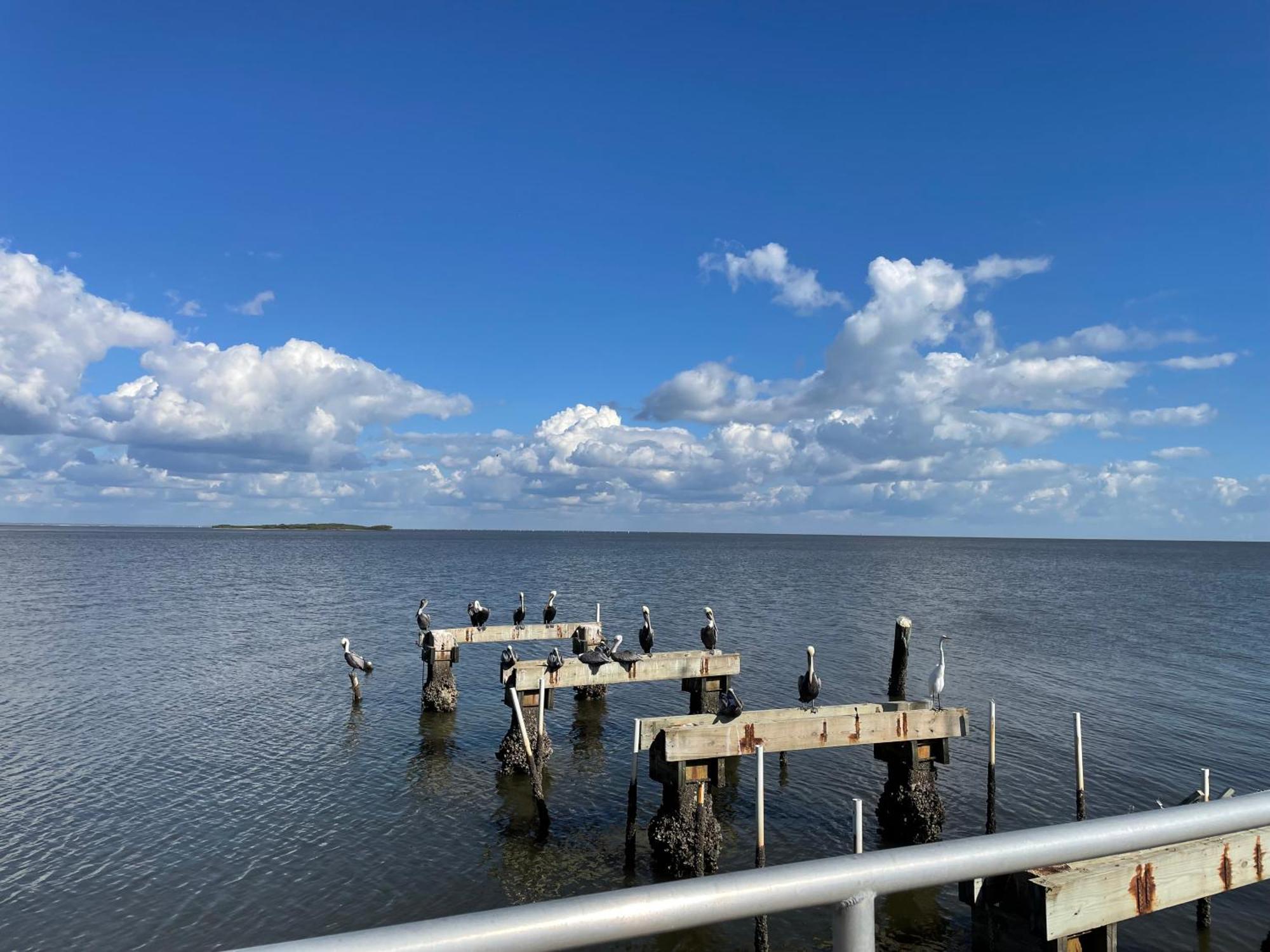 Cedar Key Florida Condo At Park Place Buitenkant foto